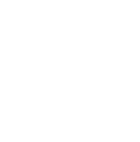 dy_icon